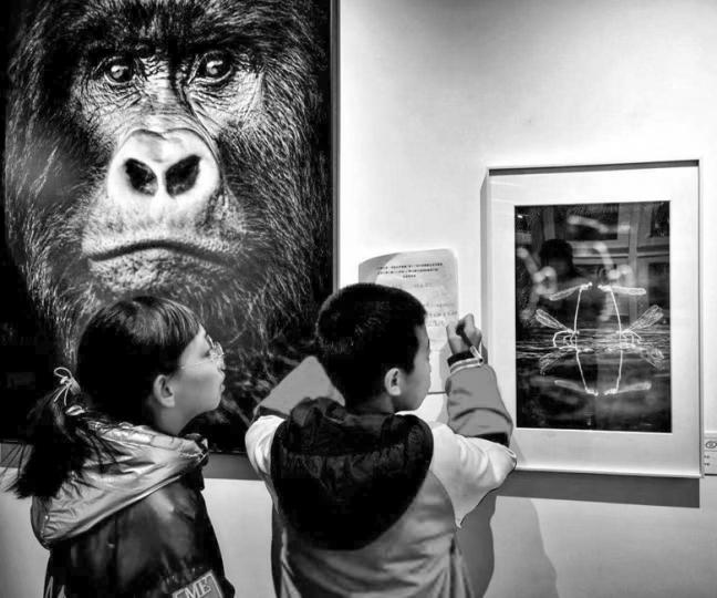 « L'Arche photographique » à Sanmenxid dans la province du Henan (Chine)