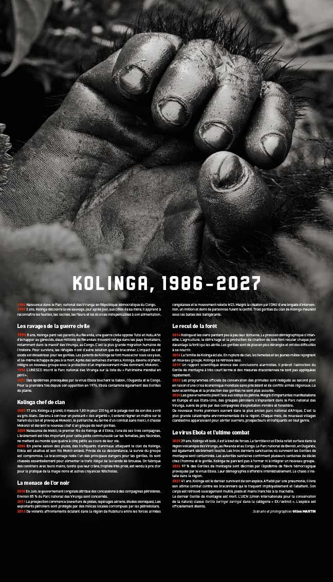 Chronology of Kolinga’s life