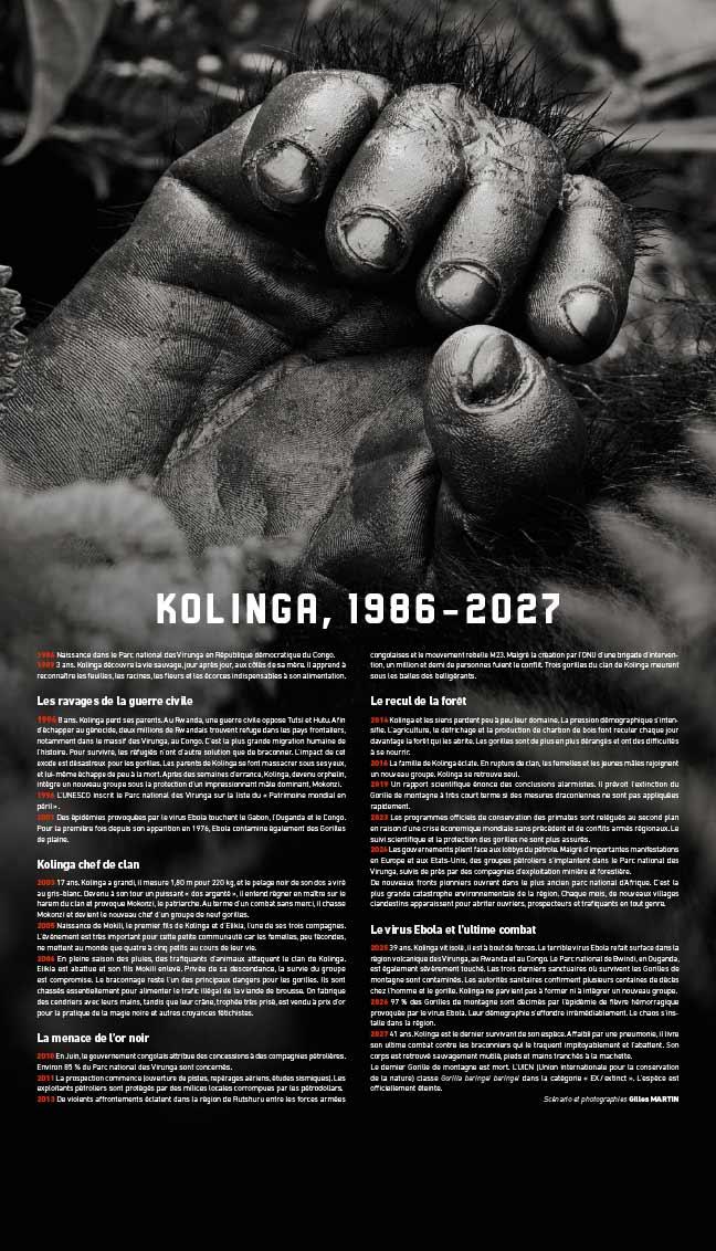 Chronology of Kolinga’s life