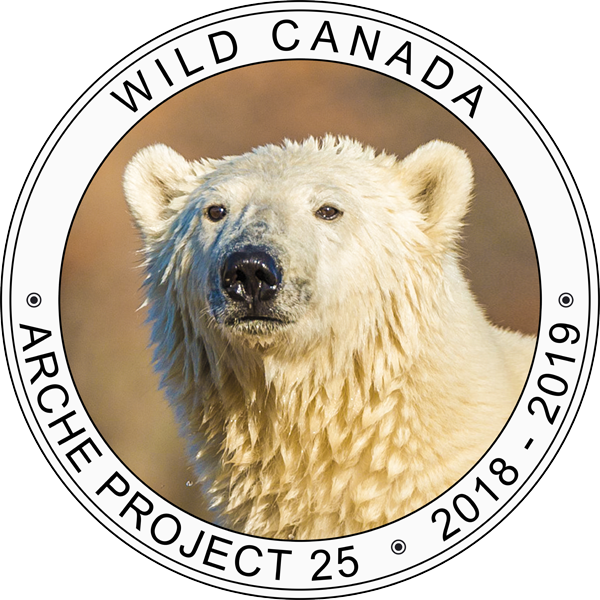 Logo du projet Wild Canada de Charles Cherrier