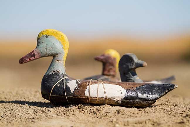 Photographie de Gilles Martin : Leurres abandonnés par des braconniers en mer d'Aral