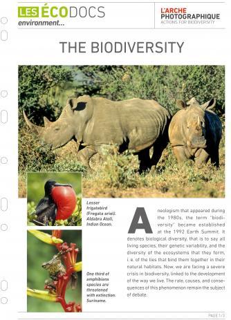 First page of The biodiversity