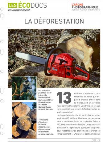 Première page de La déforestation