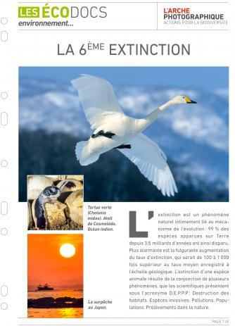 Première page de Fiche écodoc : La 6ème extinction