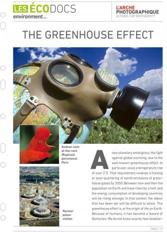 First page of The greenhouse effect