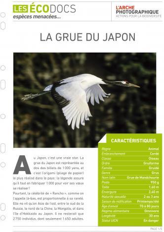 Première page de La grue du Japon