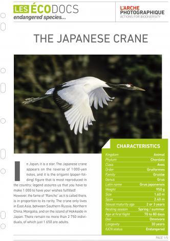 First page of The japanese crane