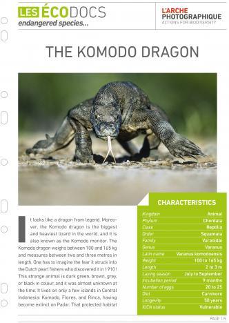 First page of The Komodo dragon