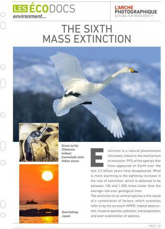 First page of Ecodoc card : The Sixth Mass Extinction