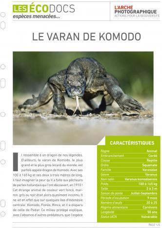 Première page de Le varan de komodo